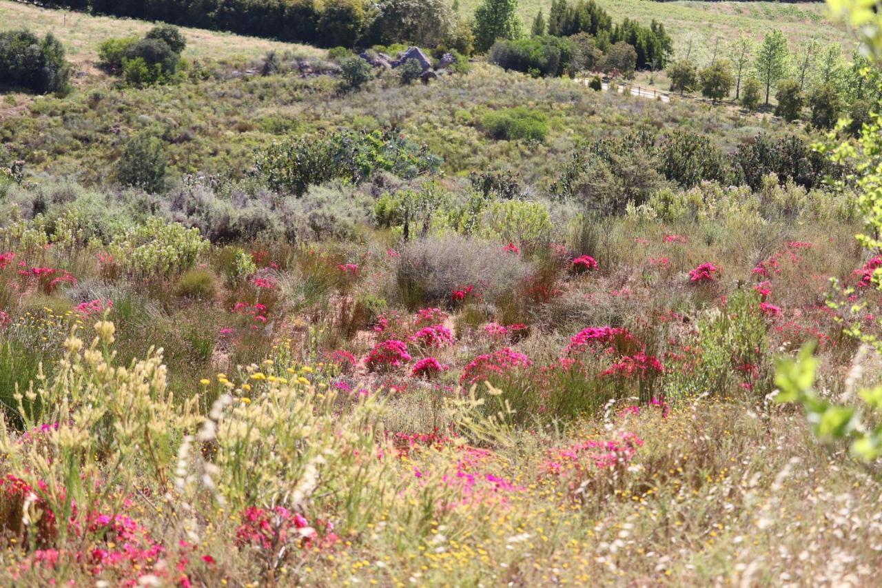 מלון Piketberg Highlands Eco Estate מראה חיצוני תמונה