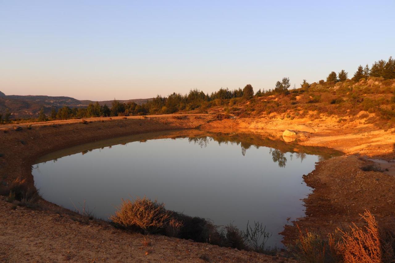 מלון Piketberg Highlands Eco Estate מראה חיצוני תמונה