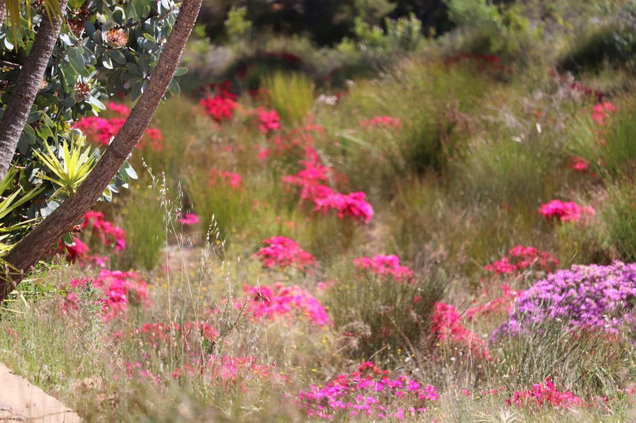 מלון Piketberg Highlands Eco Estate מראה חיצוני תמונה