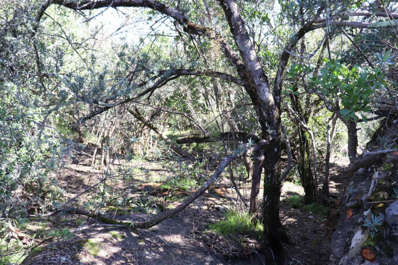 מלון Piketberg Highlands Eco Estate מראה חיצוני תמונה