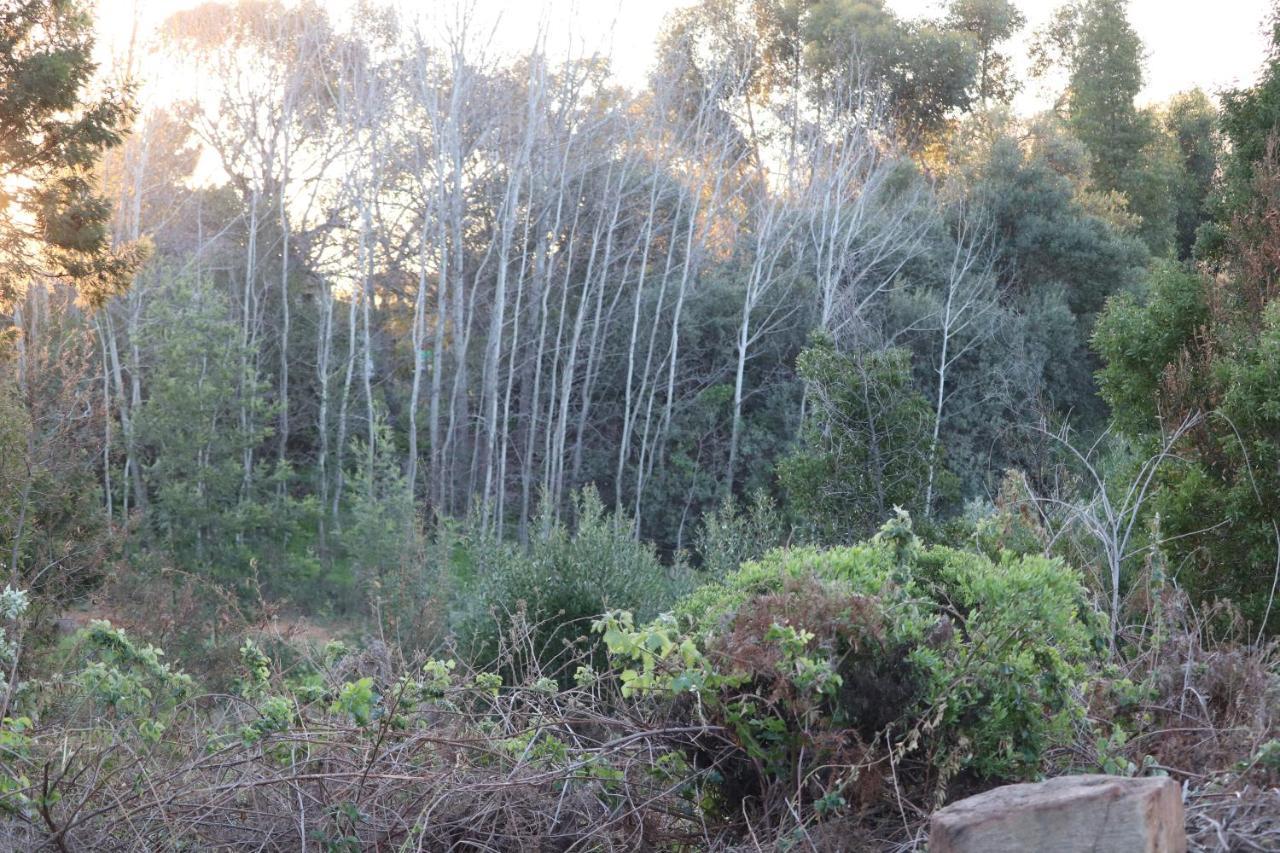מלון Piketberg Highlands Eco Estate מראה חיצוני תמונה